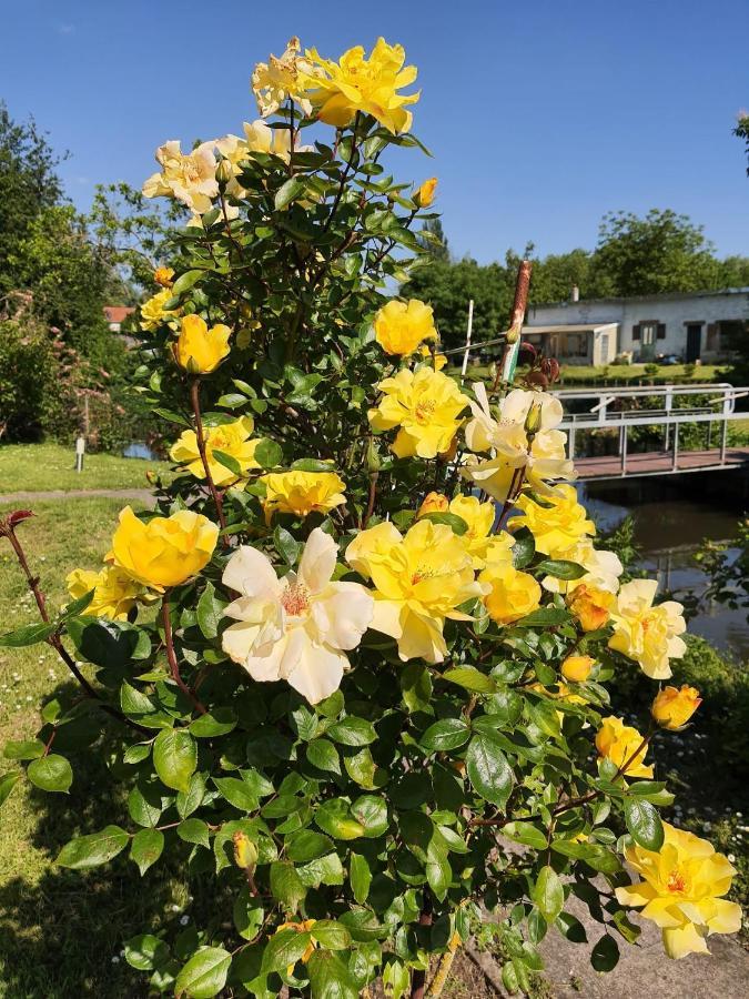 Le Cottage Des Hortillonnages Амиен Екстериор снимка