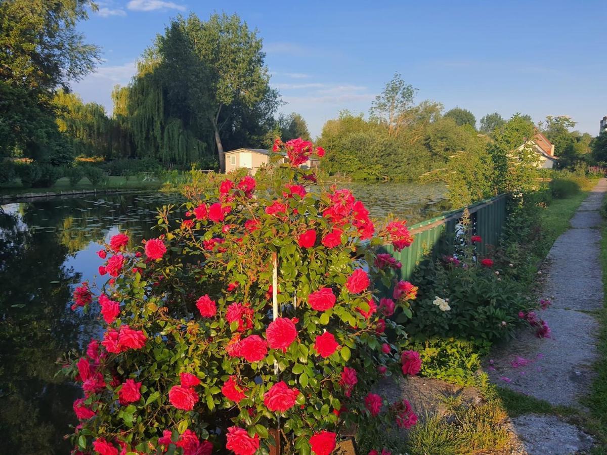 Le Cottage Des Hortillonnages Амиен Екстериор снимка